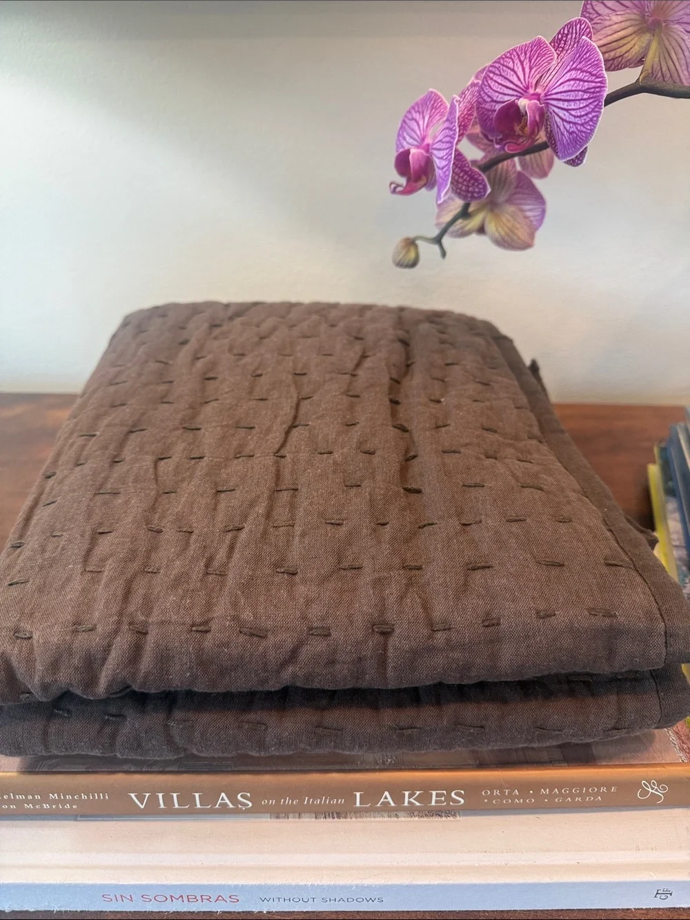 NWOT Brown Quilted Cotton Shams - King